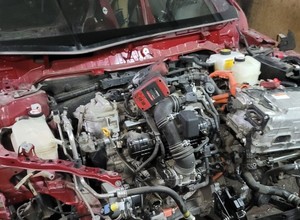 Szczerze przyznał, że pomagał w "dziupli" rozkręcać kradzione Toyoty