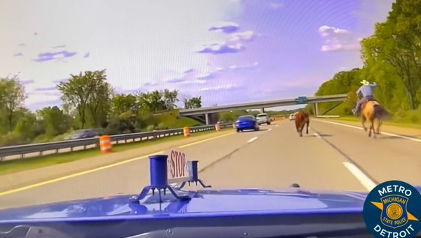 Prawdziwy kowboj pędził po amerykańskiej autostradzie. Powód był poważny [WIDEO]