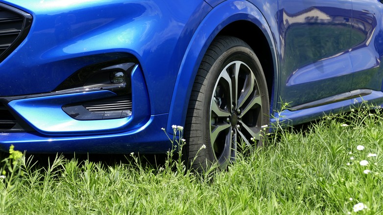 Czy można parkować na trawniku?