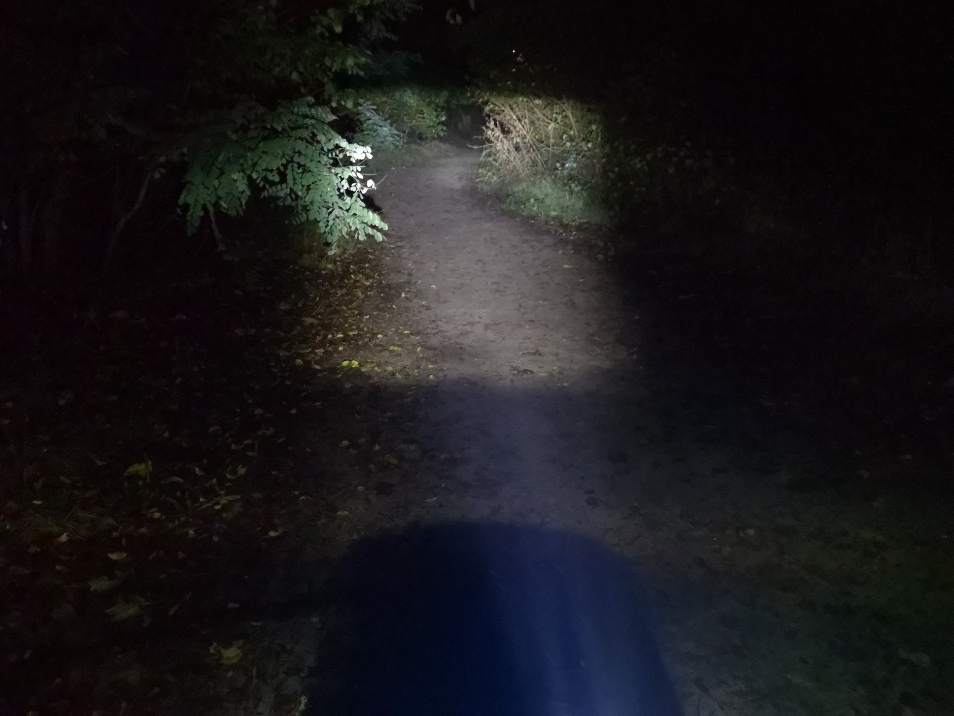 Światło bardzo dobrej, ale już nieco przestarzałej lampki BM Ixon IQ z niemiecką homologacją drogową (natężenie światła 40 Lux)