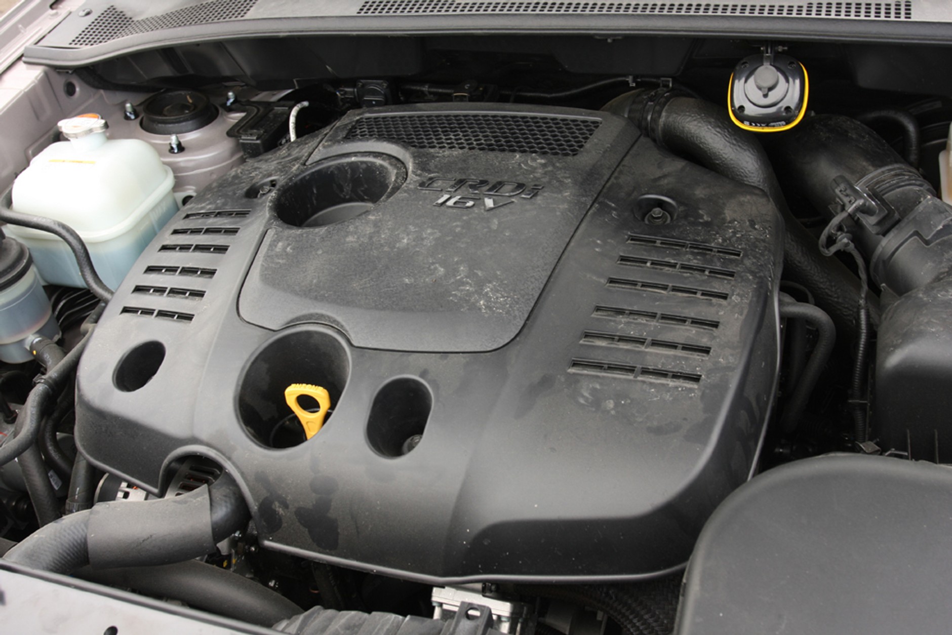 Co potrafią SUV-y? Nasi czytelnicy testują 5 aut klasy SUV - Na ringu stanęły: Citroen C-Crosser, Suzuki Grand Vitara, VW Tiguan, Kia Sportage i Ford Kuga