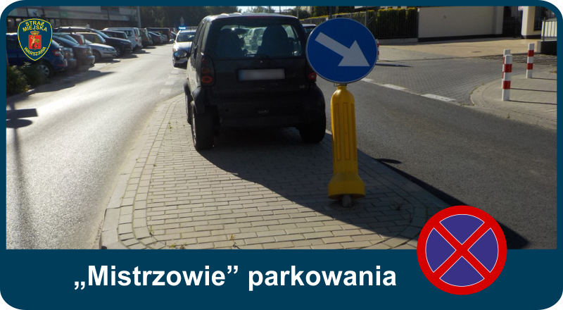 „Mistrzowie” parkowania w Warszawie
