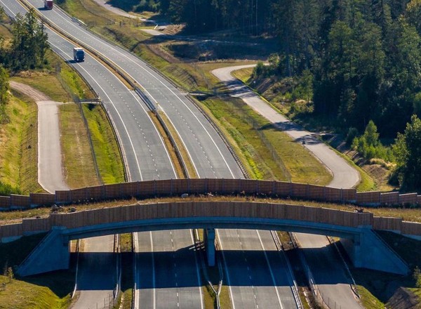 Tajemnicze konstrukcje nad polskimi drogami. Na S61 nie korzystają z nich kierowcy