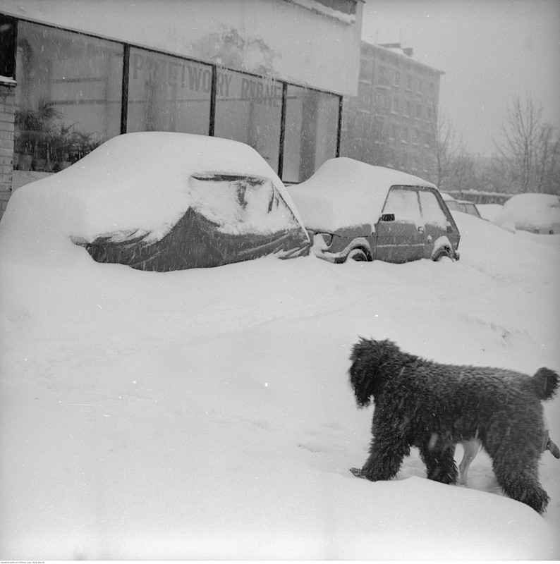 Zima stulecia 1978/79