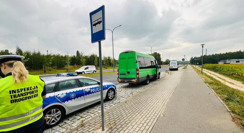 Wśród 443 kierowców znalazła się jedna owca. Została oddana policji