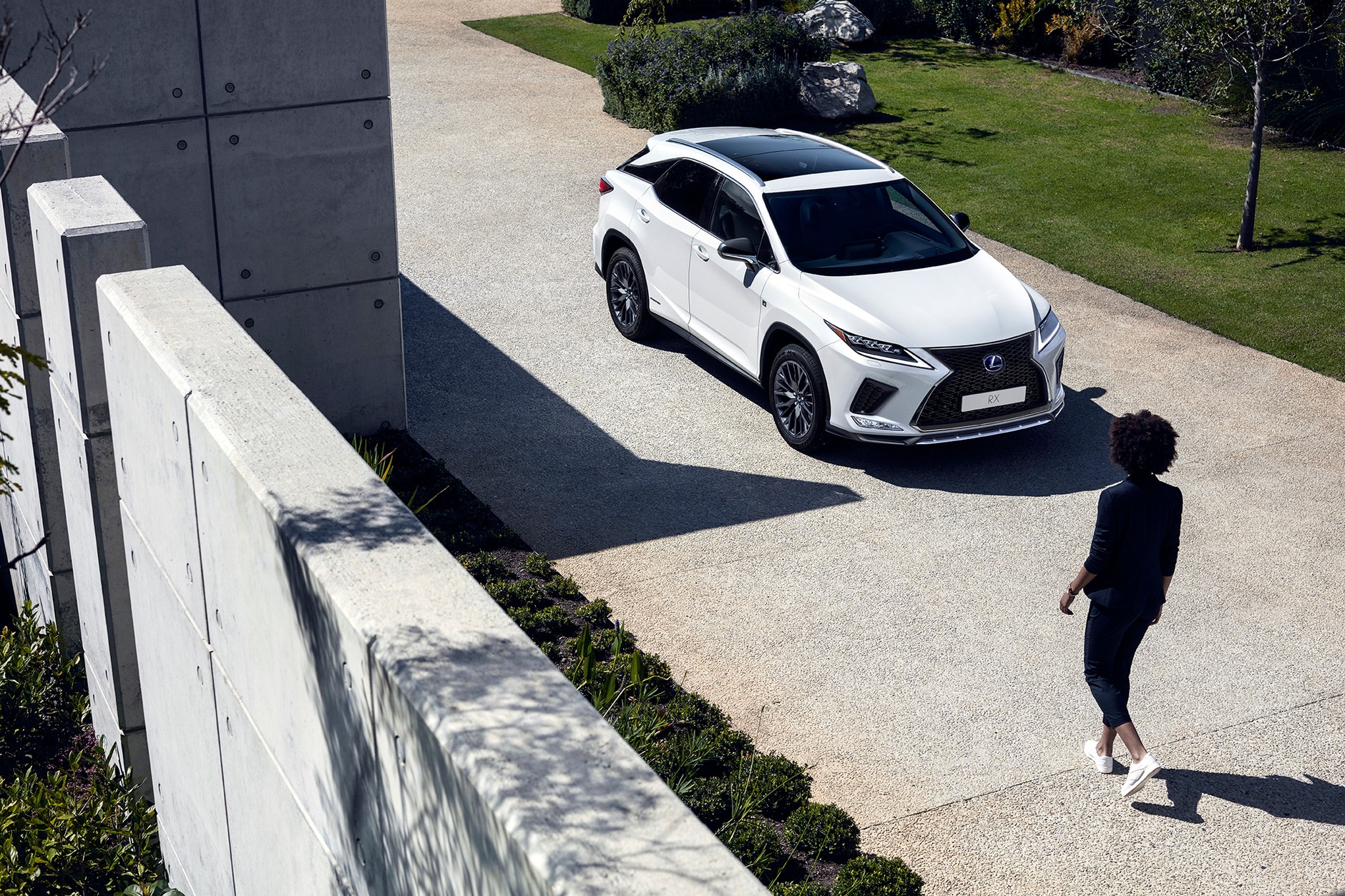 Lexus RX 2020