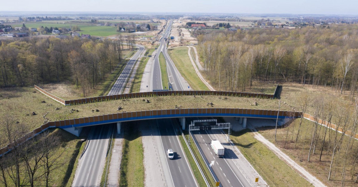 S19 Lublin Niedrzwica