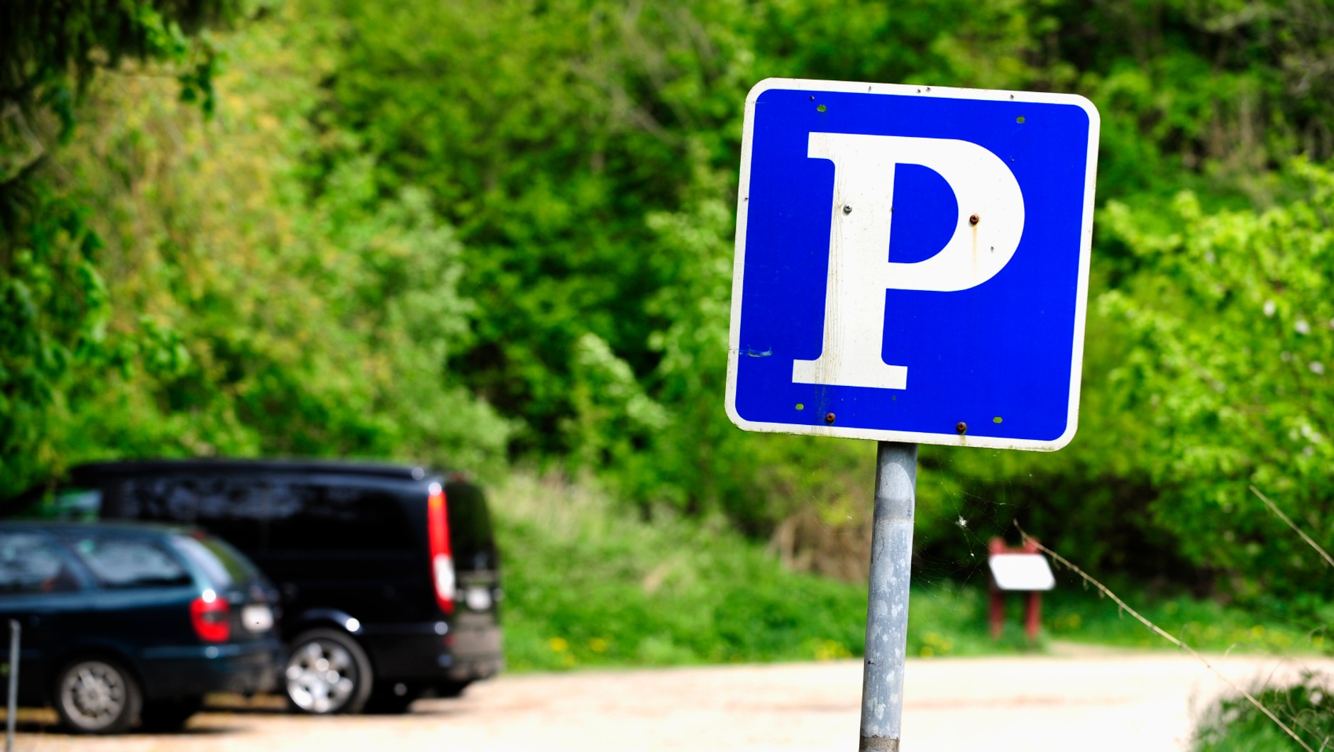 Parking leśny