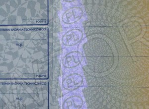 Mamy 30 dni na wyrobienie perłowych dowodów rejestracyjnych. Później 1000 zł kary