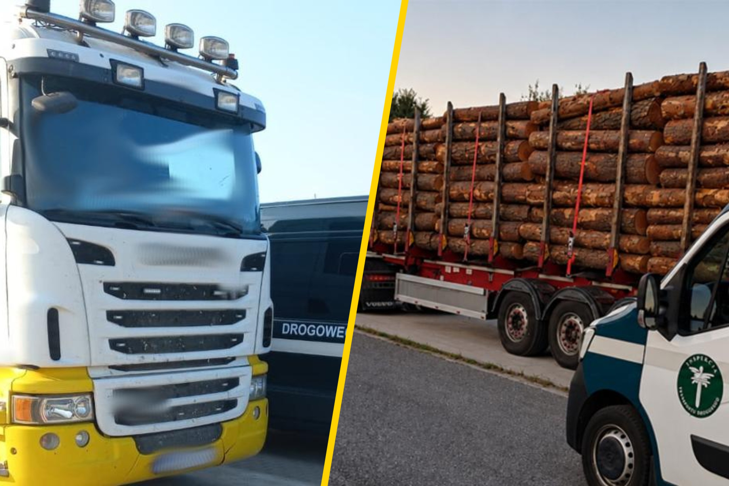 Inspektorzy ITD zatrzymali transport jak z "Oszukać Przeznaczenie". O 20 t drewna za dużo