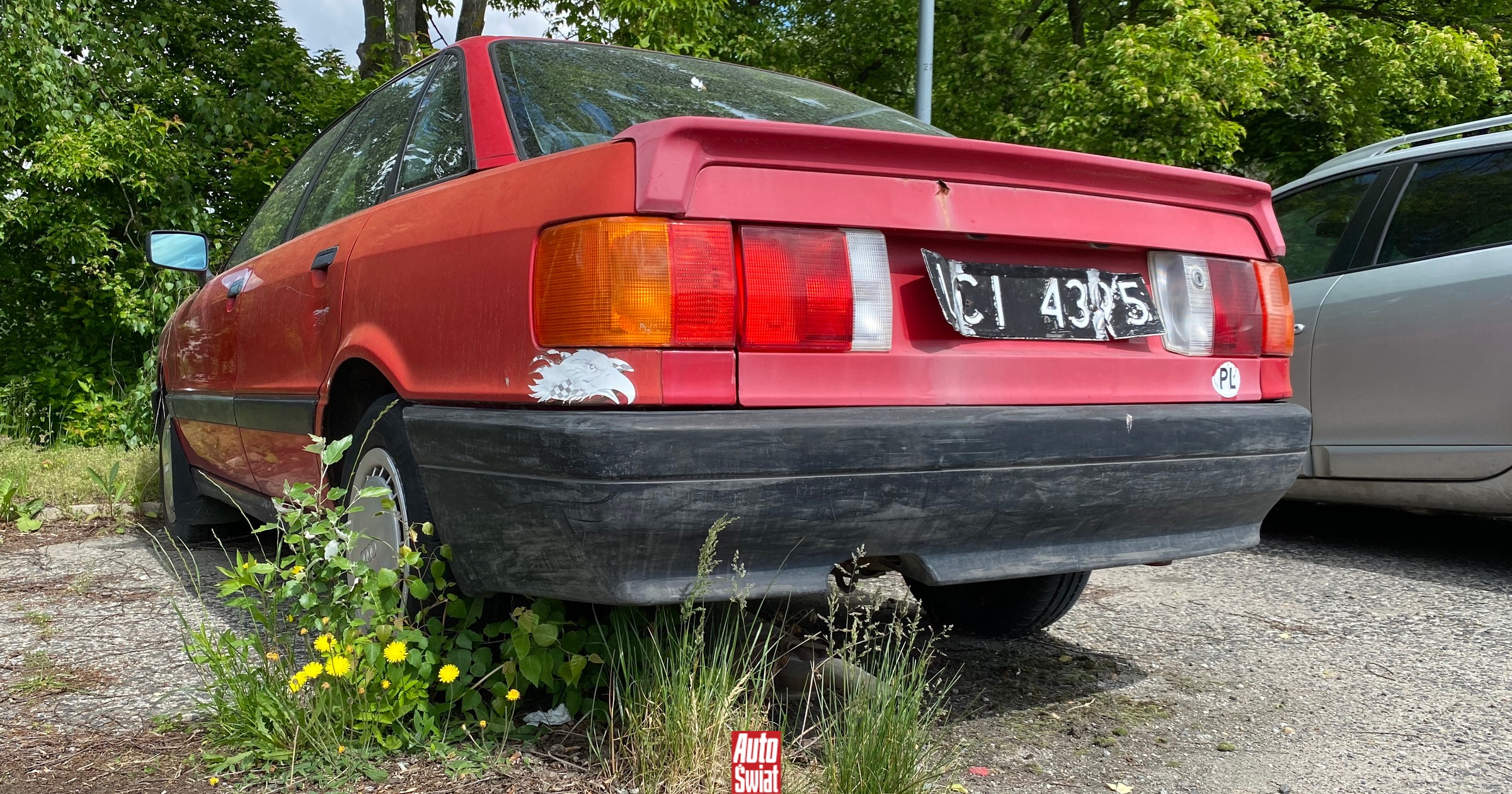 Czarne tablice rejestracyjne to białe kruki. Rozszyfrujesz je?