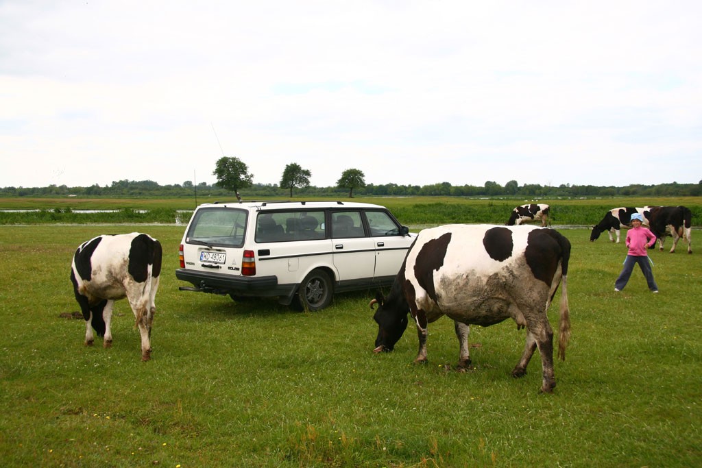 Nie wszędzie dojedziesz autem