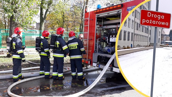 Kluczowe oznaczenie na drodze. Nawet doświadczeni kierowcy czasem je ignorują