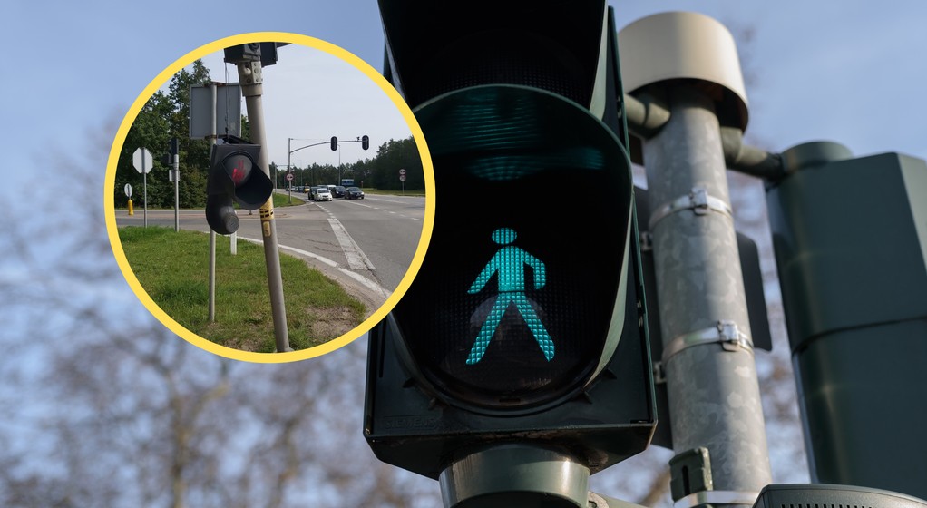 Wystraszył ją pająk. Wjechała w sygnalizację (fot. screen: wejherowo.policja.gov.pl)