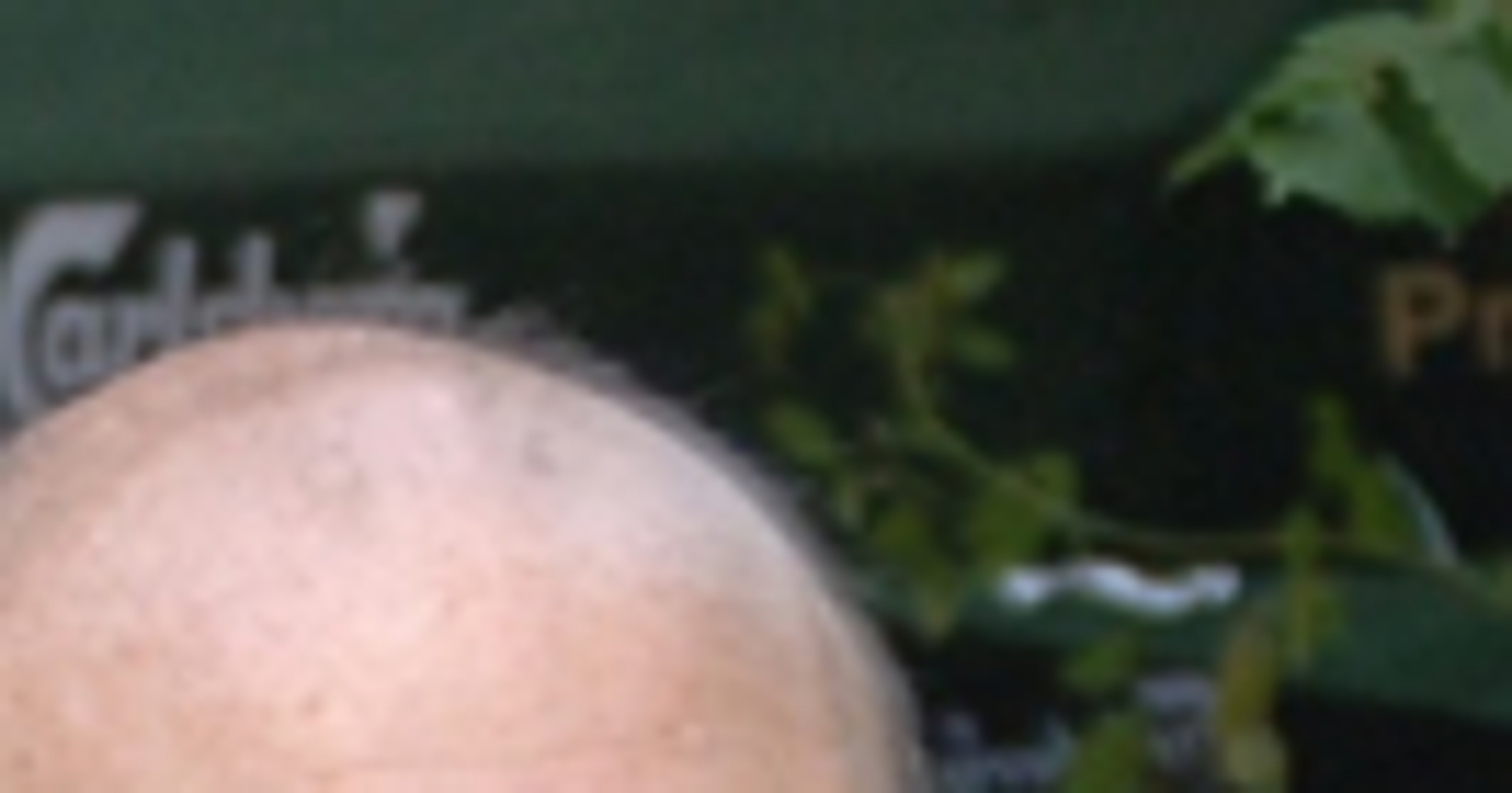 Mariusz Stuszewski