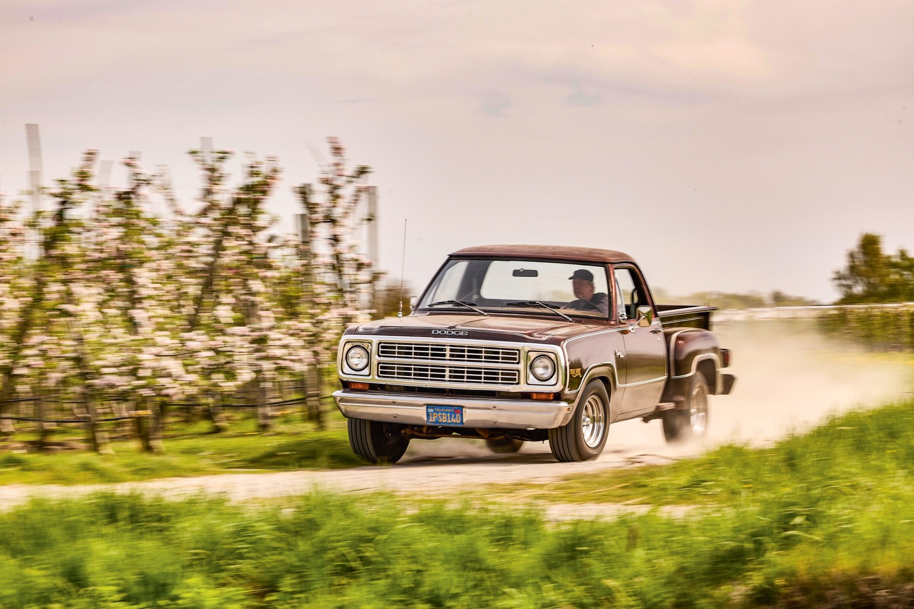 Dodge D150 True Spirit