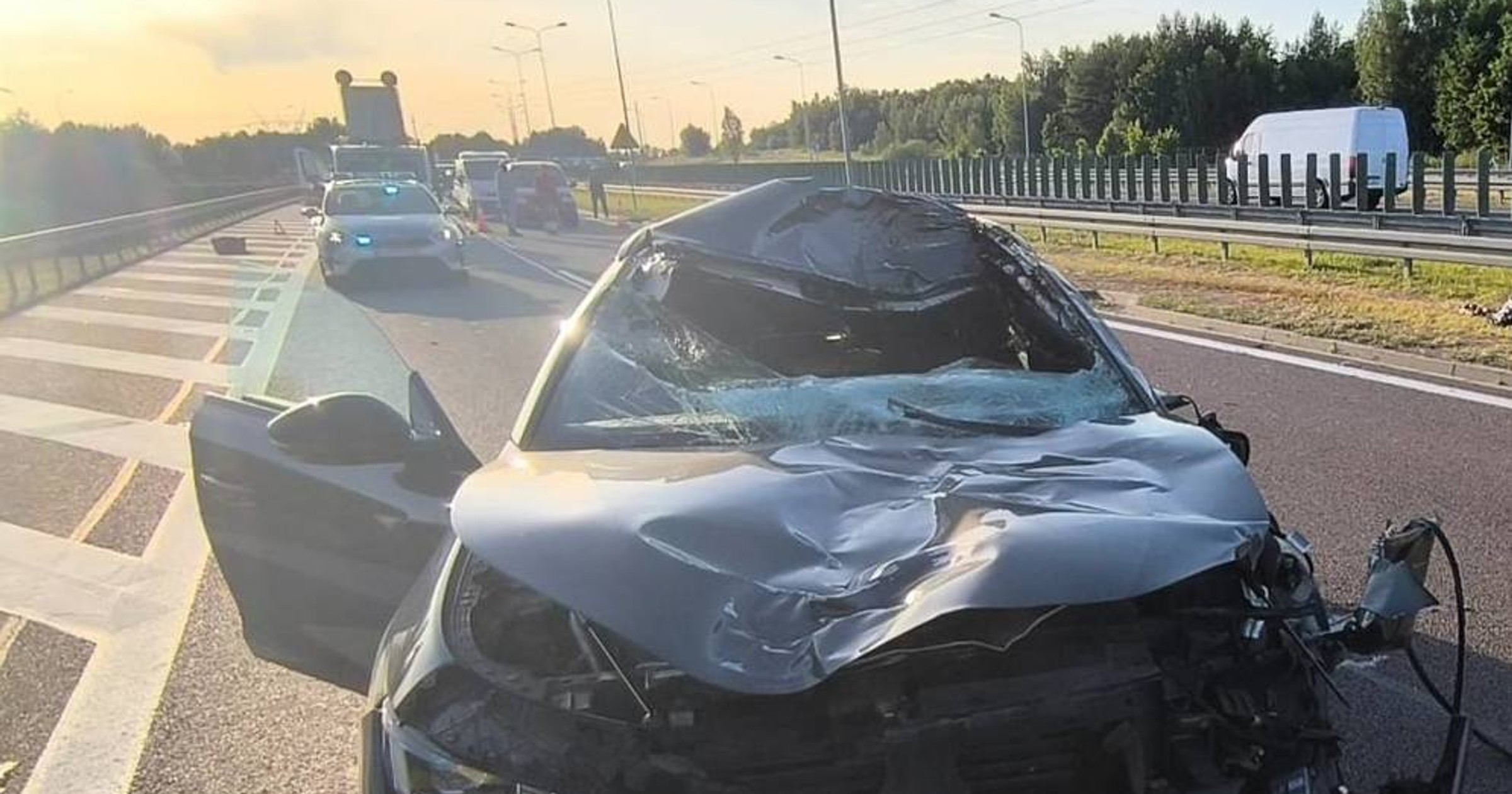 Osobowy peugeot po zderzeniu z łosiem