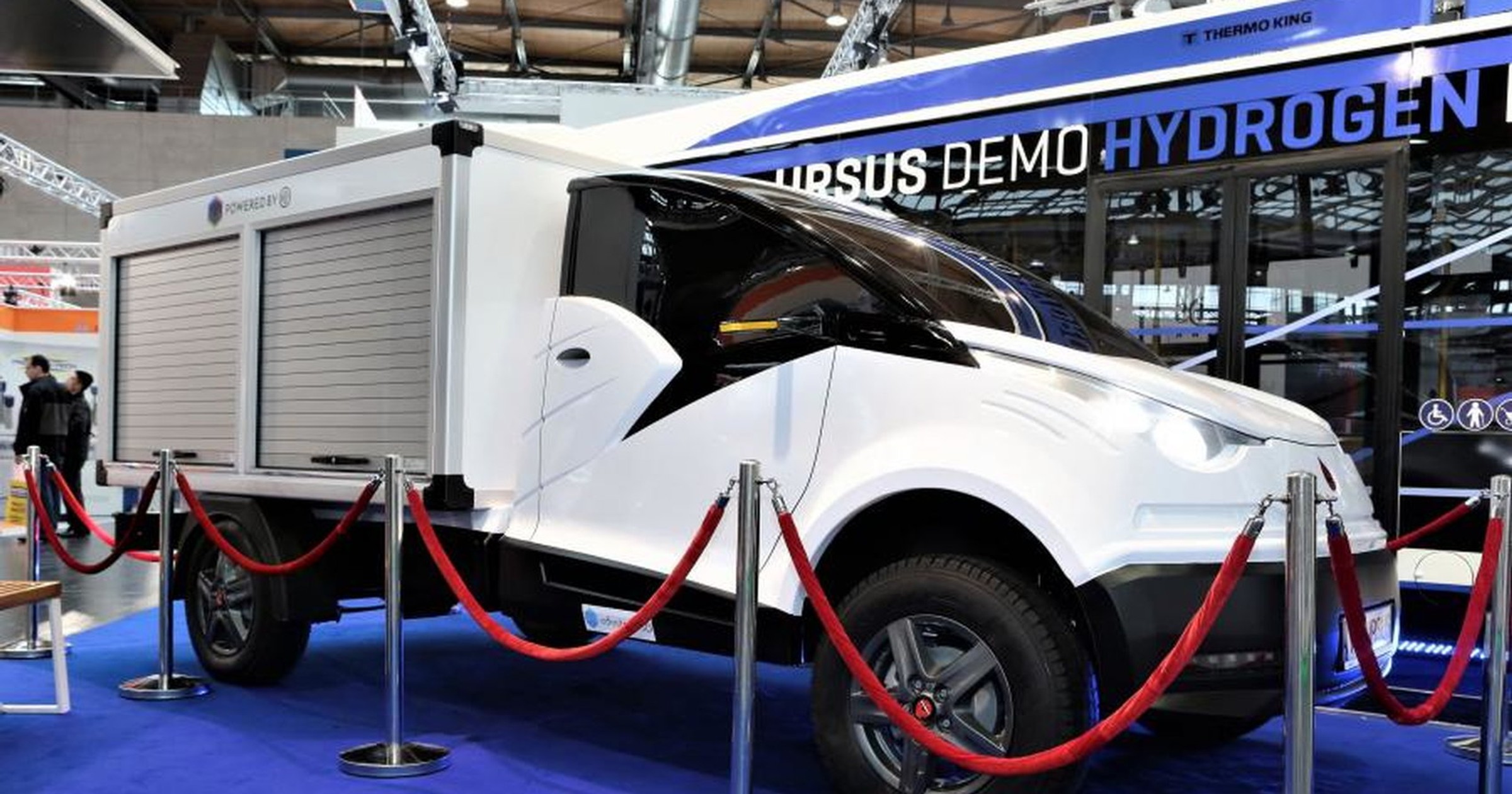 Ursus ELVI