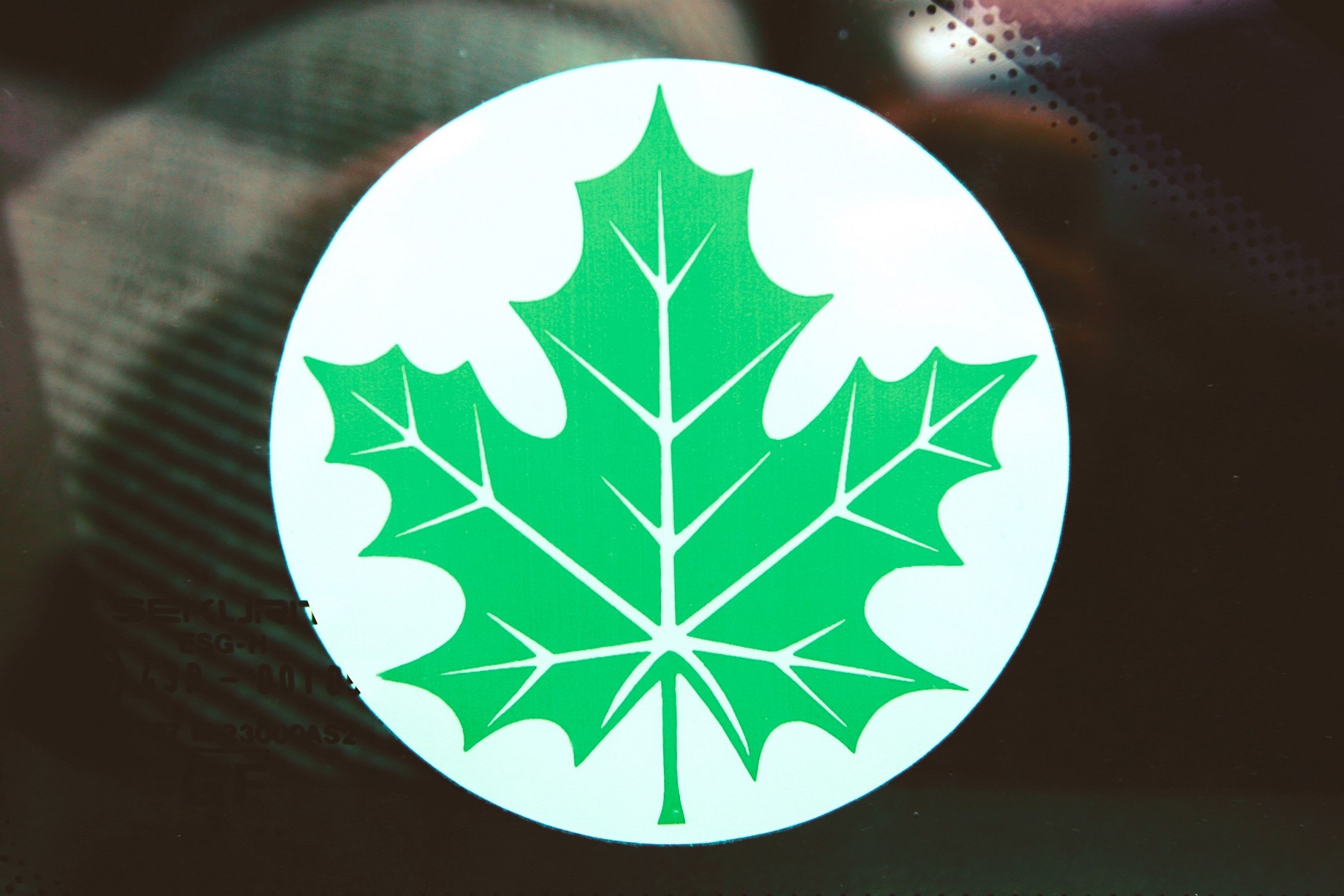 Zielony listek kiedyś oznaczał początkującego kierowcę. Powróci?