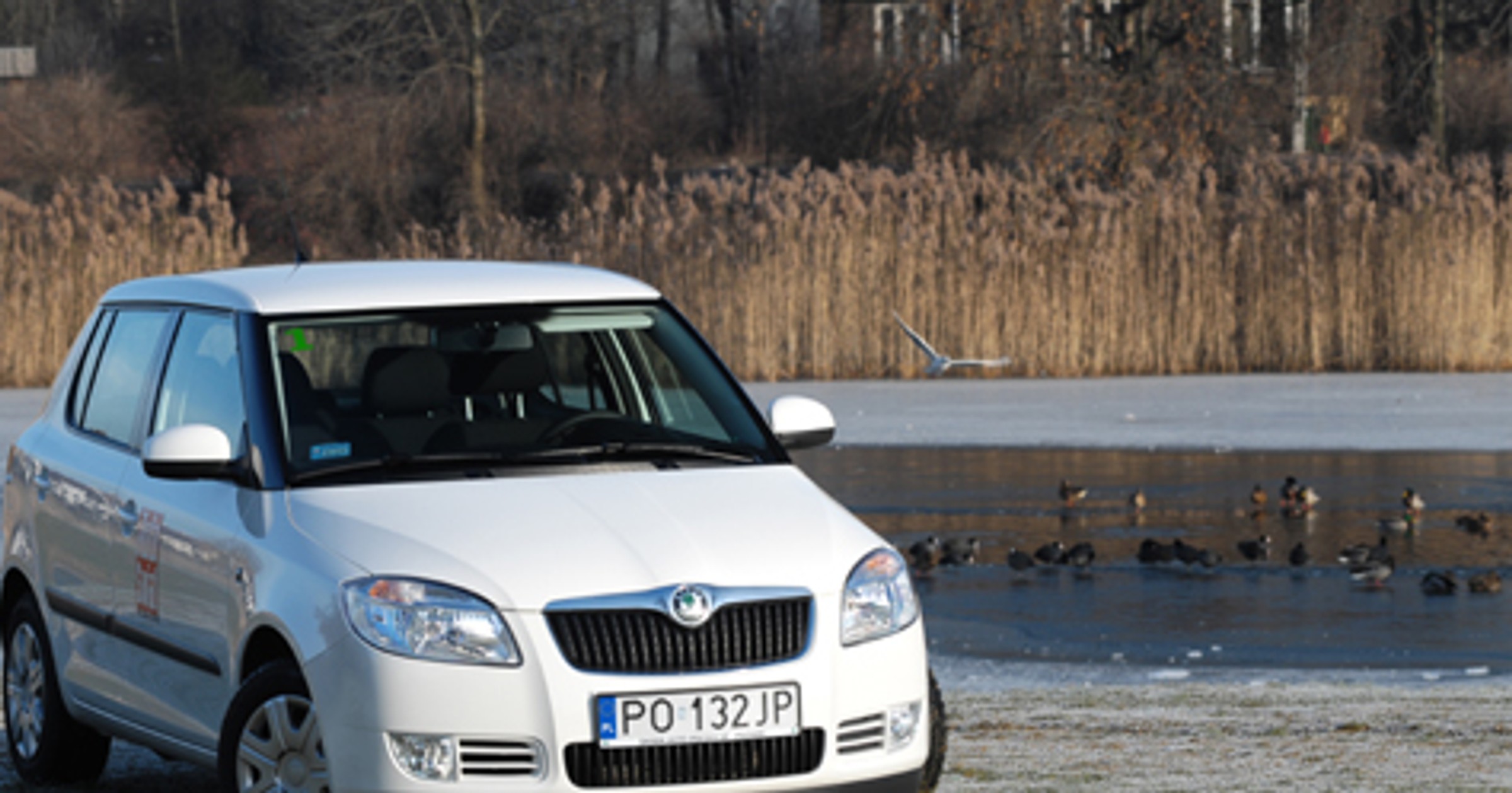 Skoda Fabia Greenline: Czysto, czyściej, Greenline