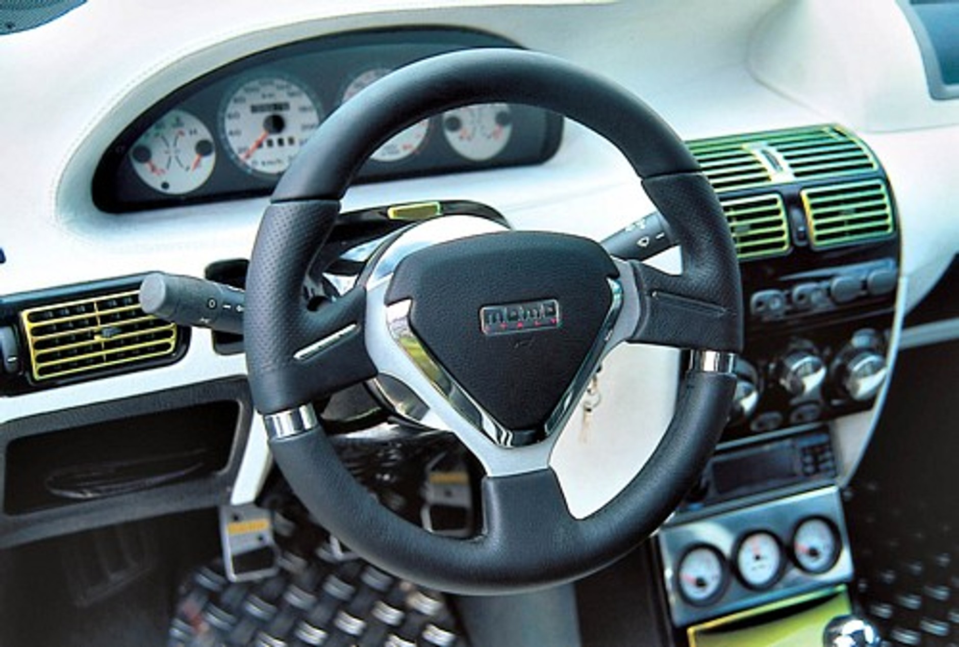 Błyszczący skarabeusz