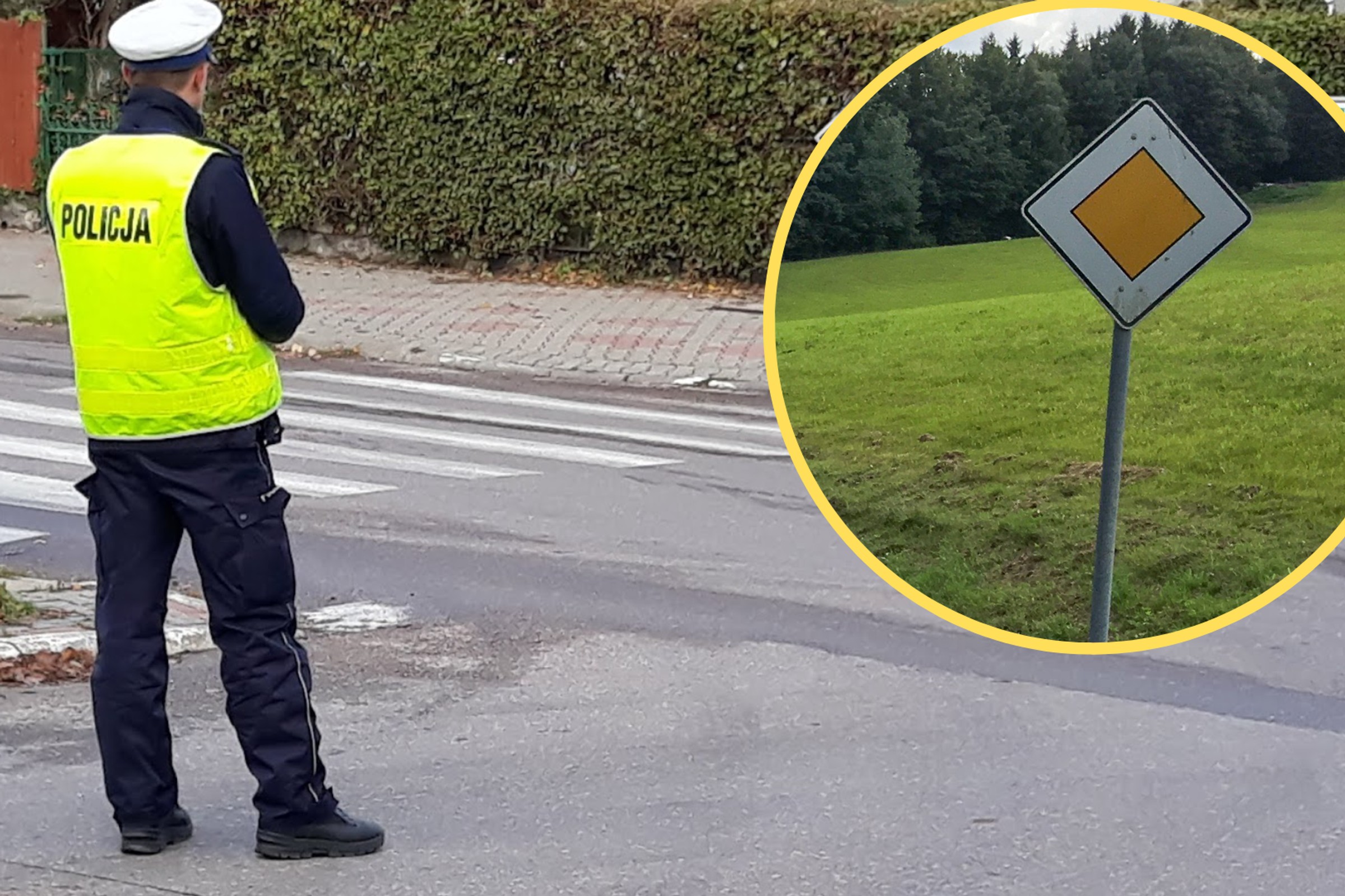 Znak D-1 to "rodzynek" na polskich drogach. Ma bardzo jasny przekaz