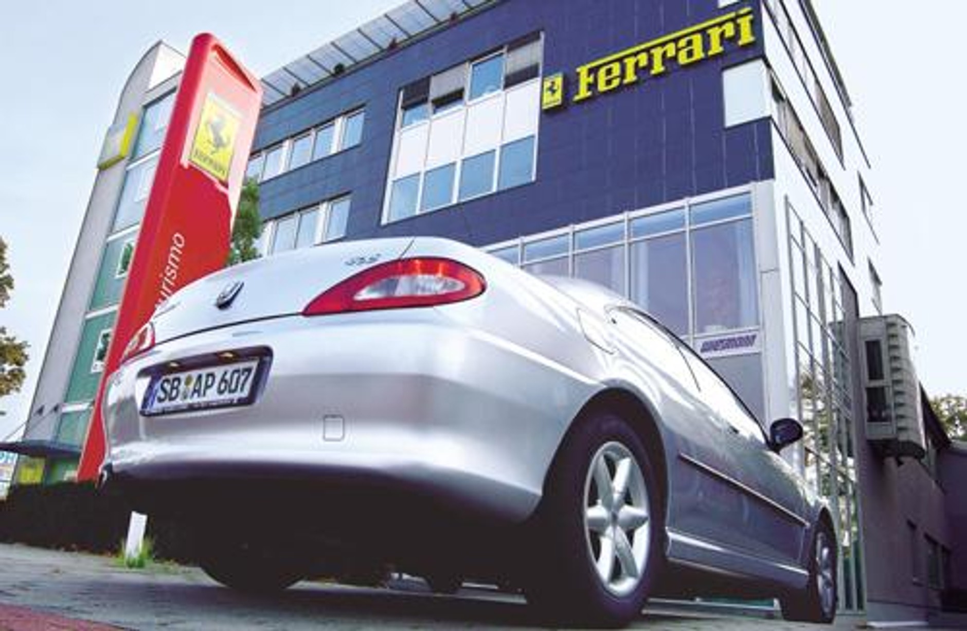 Lew pręży muskuły