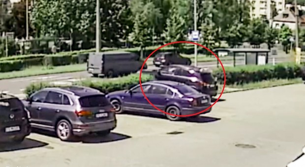 Staranował żywopłot i sunął dalej. Policja publikuje nagranie i szuka kierowcy [WIDEO]