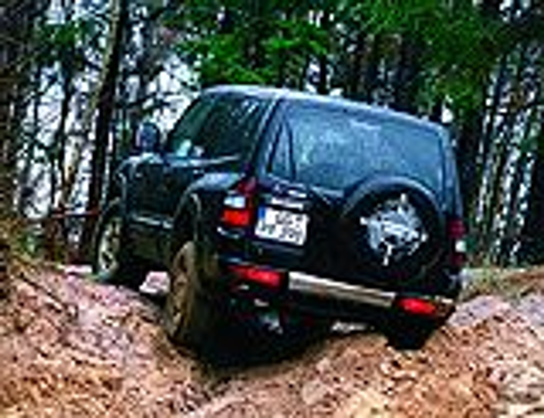 Czwórka z jednej stajni