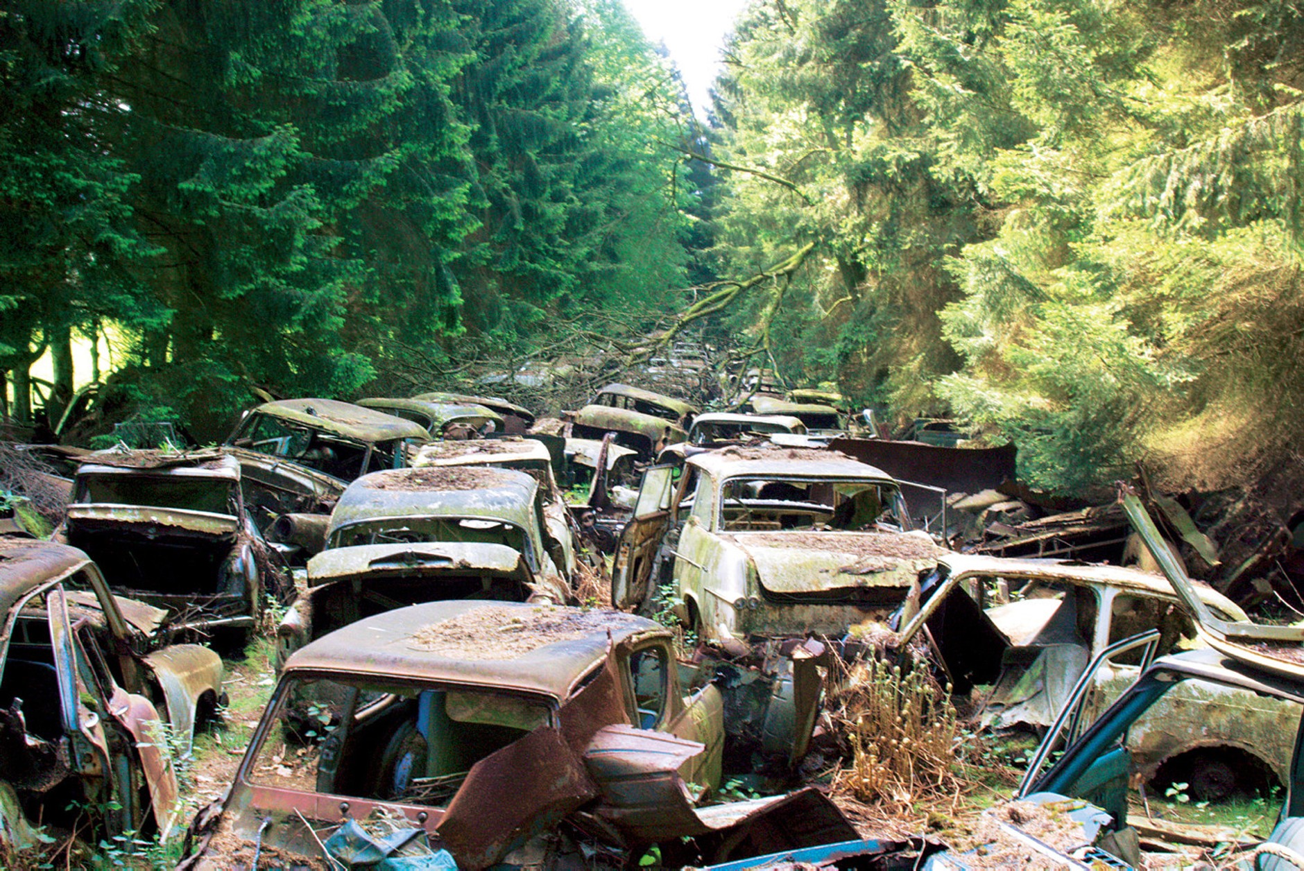 Cmentarzysko aut Niemcy