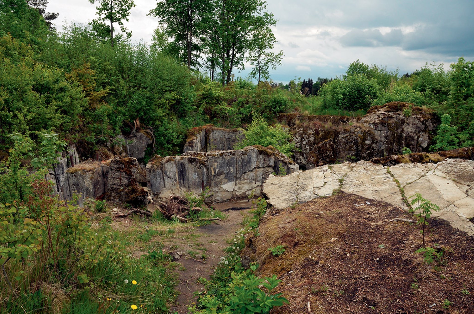Odkrywamy tajemnice Bornego Sulinowa