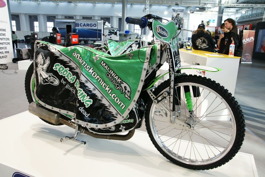 Poznań Motor Show 2010: honor uratowali dilerzy (galeria)