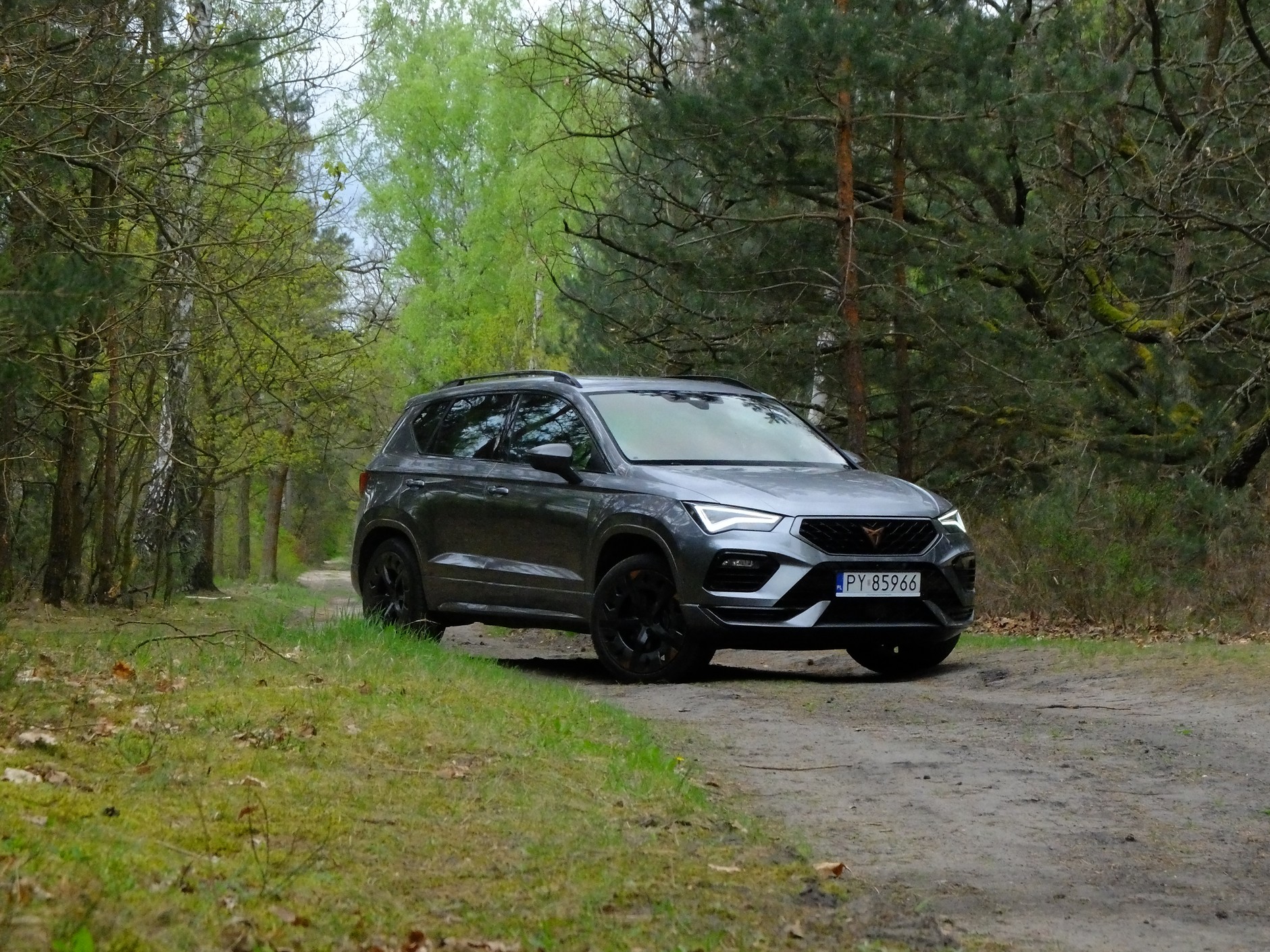 Cupra Ateca 2.0 TSI/190 KM 4x4