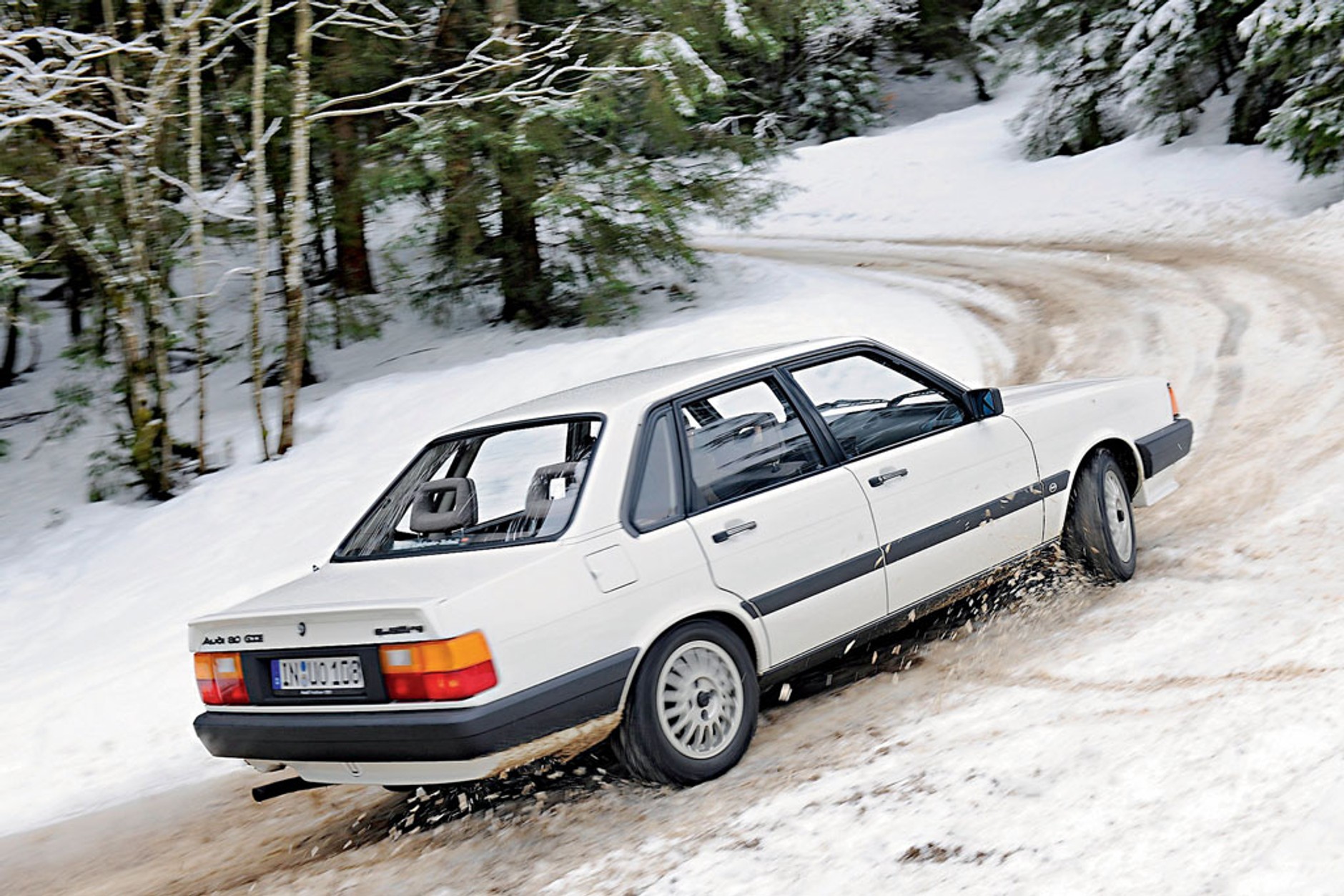Audi 80 Quattro- Szlachetny gronostaj