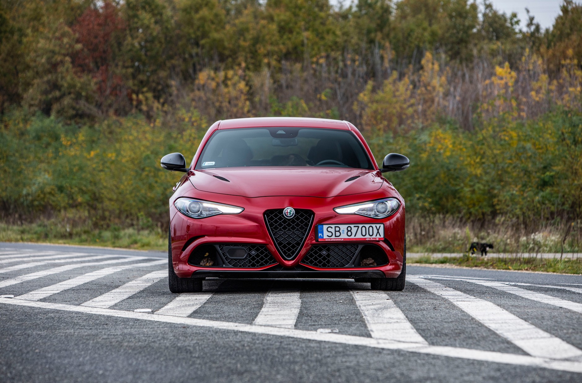 Alfa Romeo Giulia Quadrifoglio