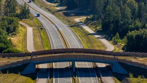 Tajemnicze konstrukcje nad polskimi drogami. Na S61 nie korzystają z nich kierowcy
