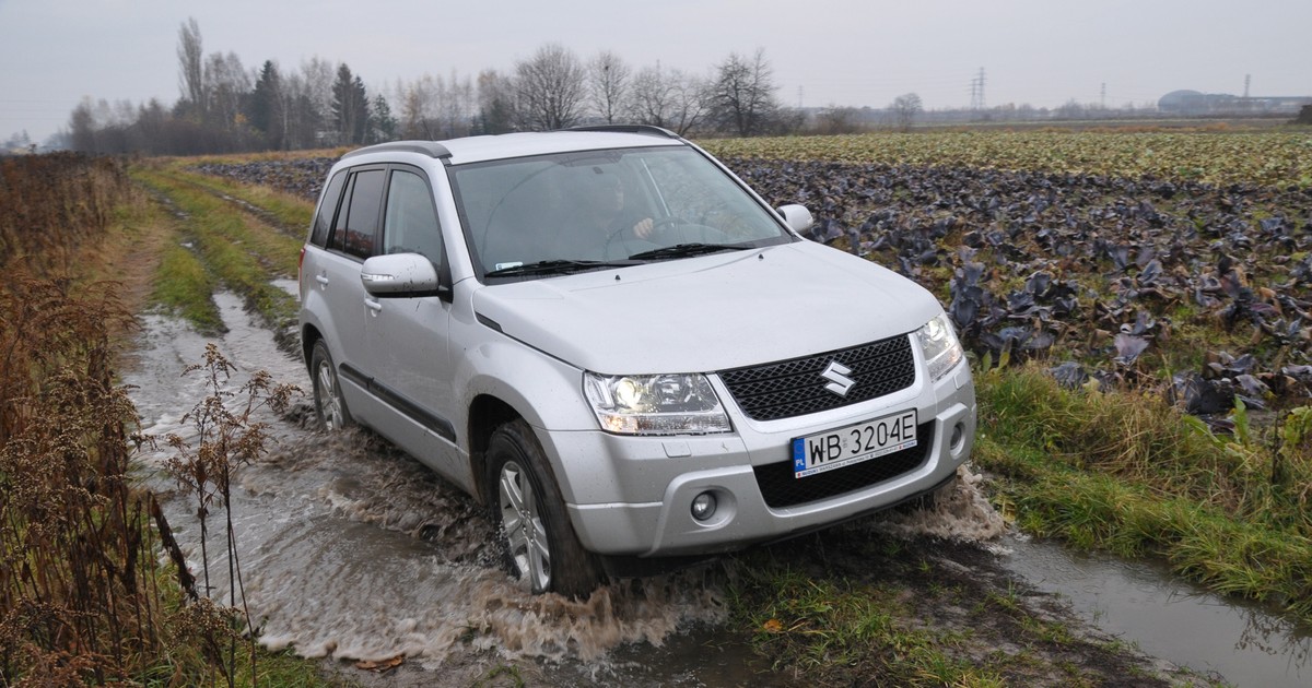 Suzuki Grand Vitara to auto, którym nie strach zjechać z asfaltu. Ma ciekawą konstrukcję, ale z trwałością bywa różnie.