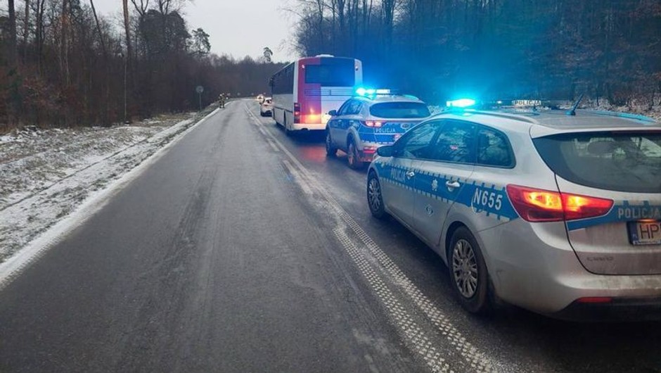 Kolizja na trasie Prabuty – Kwidzyn z udziałem sarny