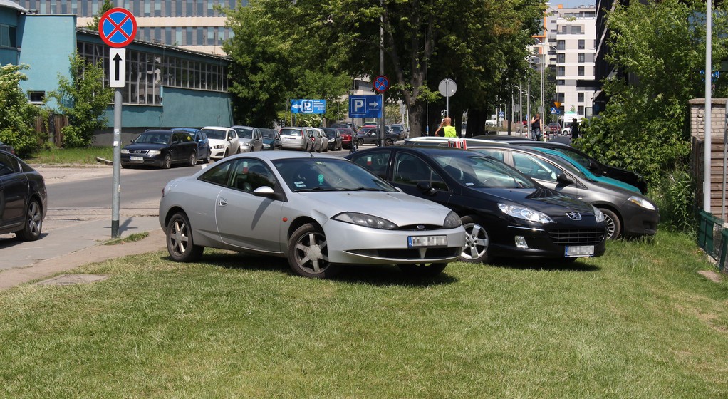 Parkowanie na trawniku