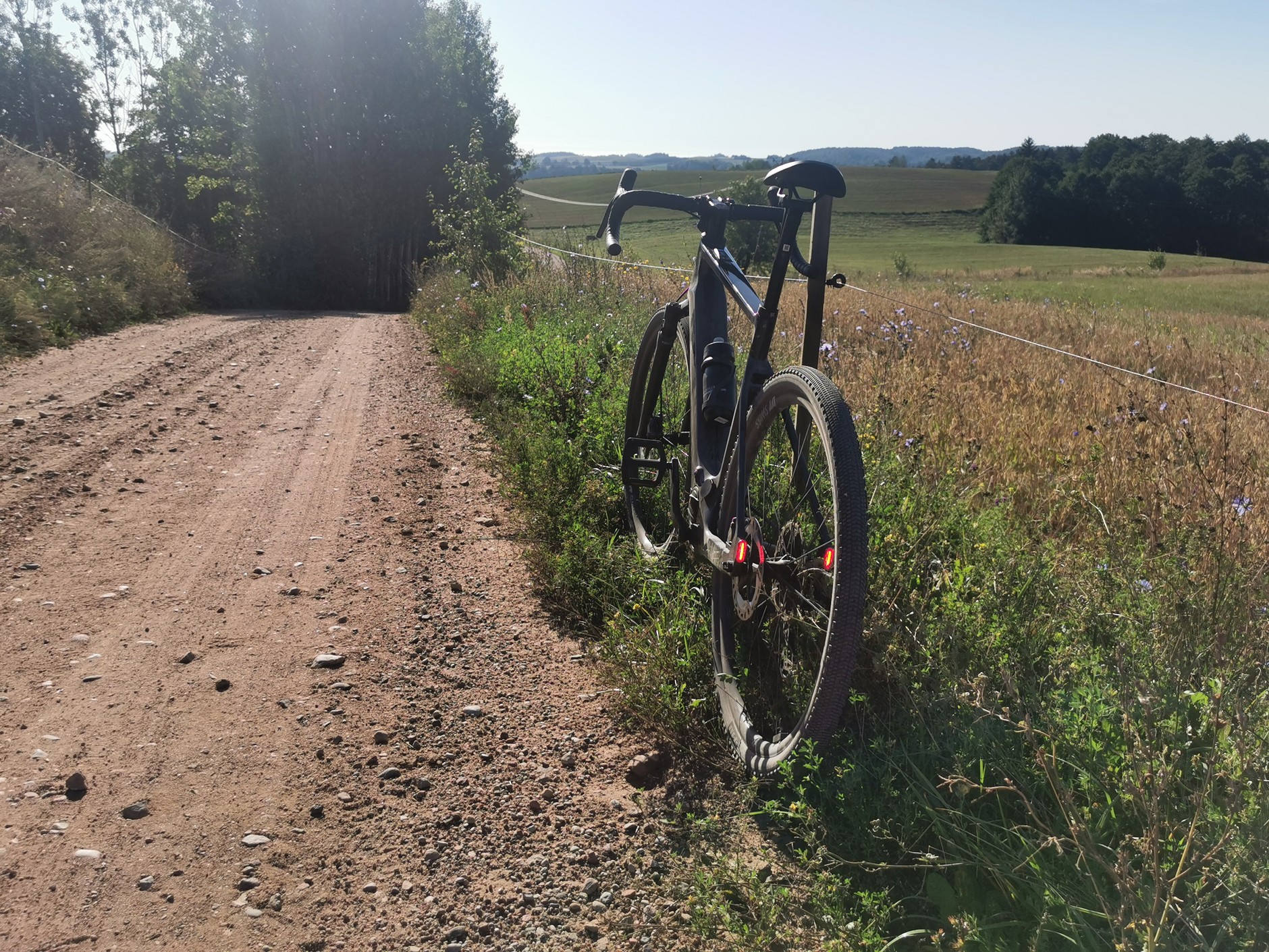 Canyon Grizl:ON CF 7