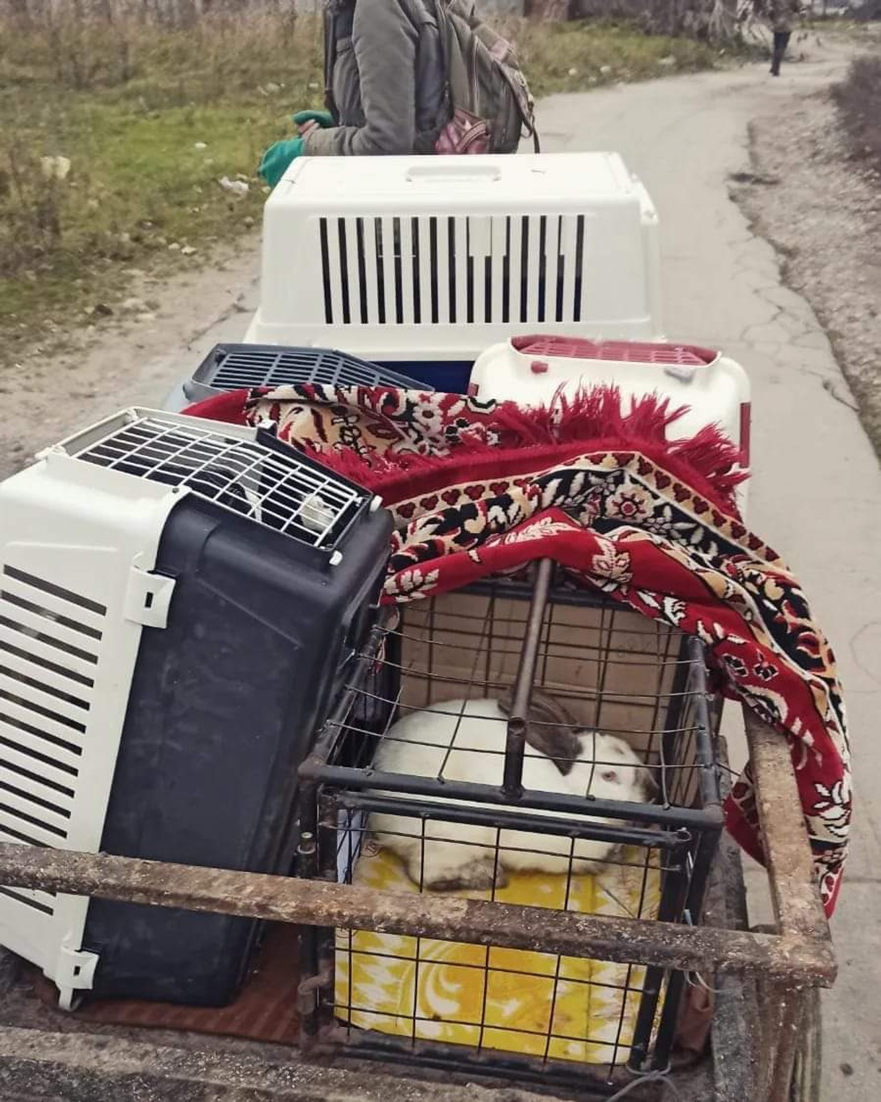 Natalia pojechała na misję humanitarną do Chersonia