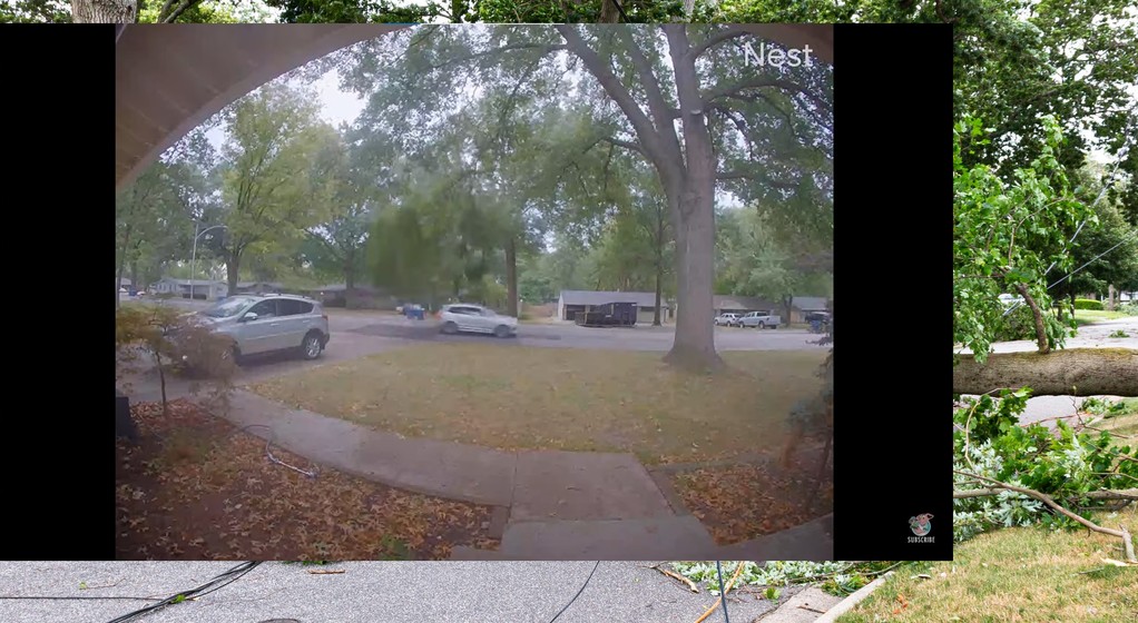 Samochód ledwo przejechał pod spadającym konarem