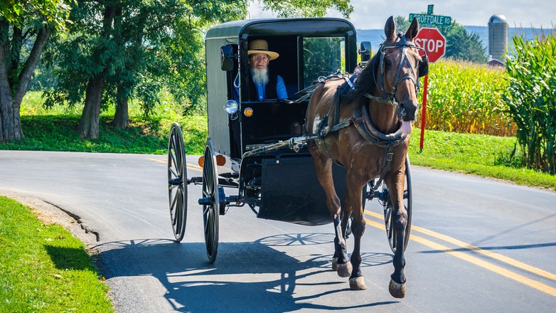 Dorożka - zdjęcie ilustracyjne