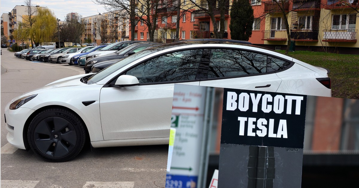 W USA protesty nawołujące do bojkotu Tesli przybierają na sile. W Europie klienci po cichu, ale masowo odwracają się od marki