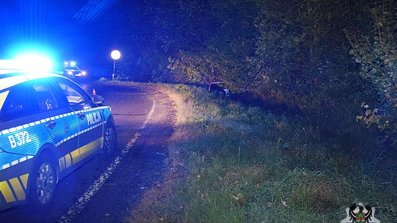 Źródło: walbrzych.policja.gov.pl