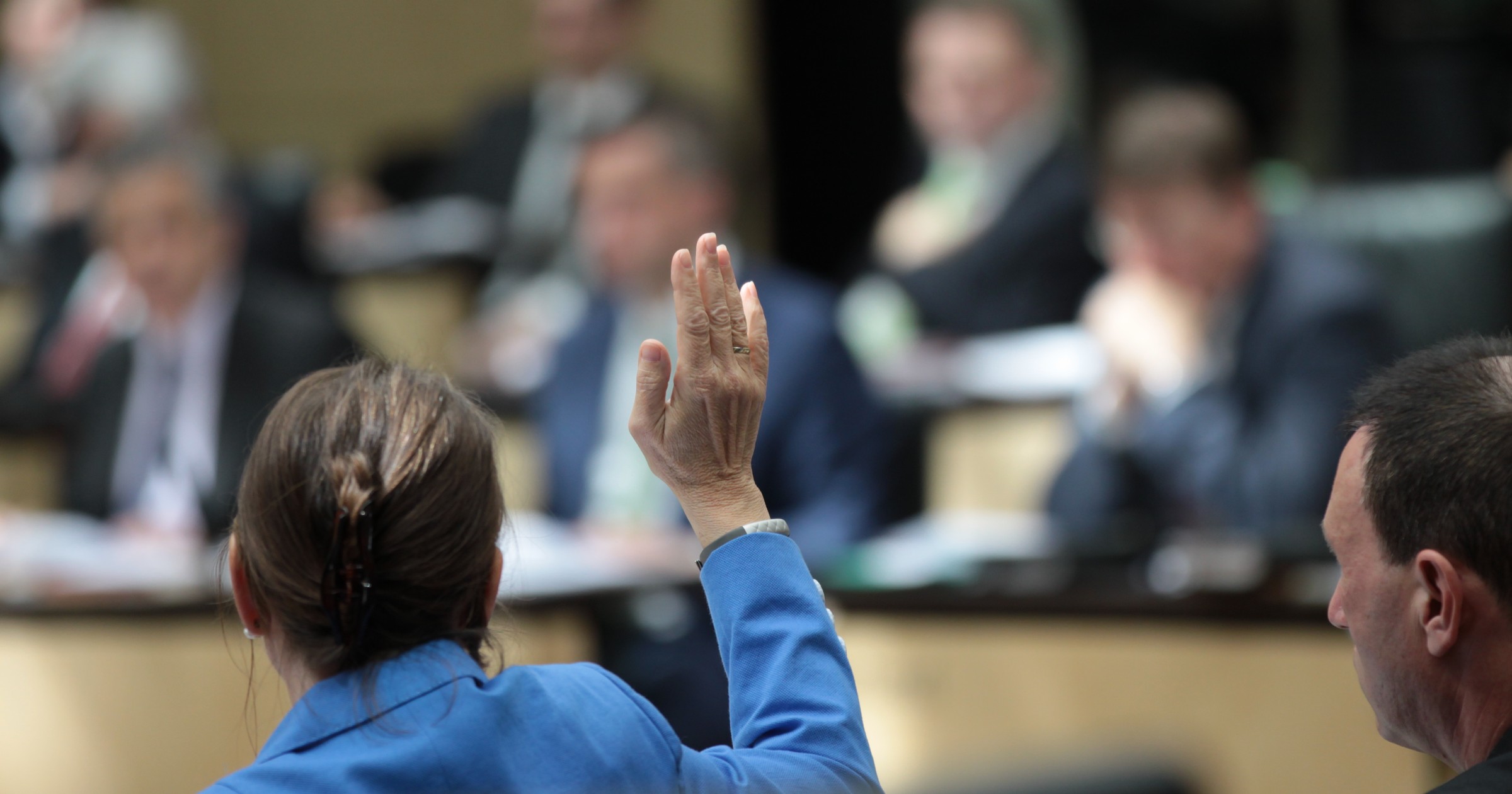 Bundesrat w Niemczech