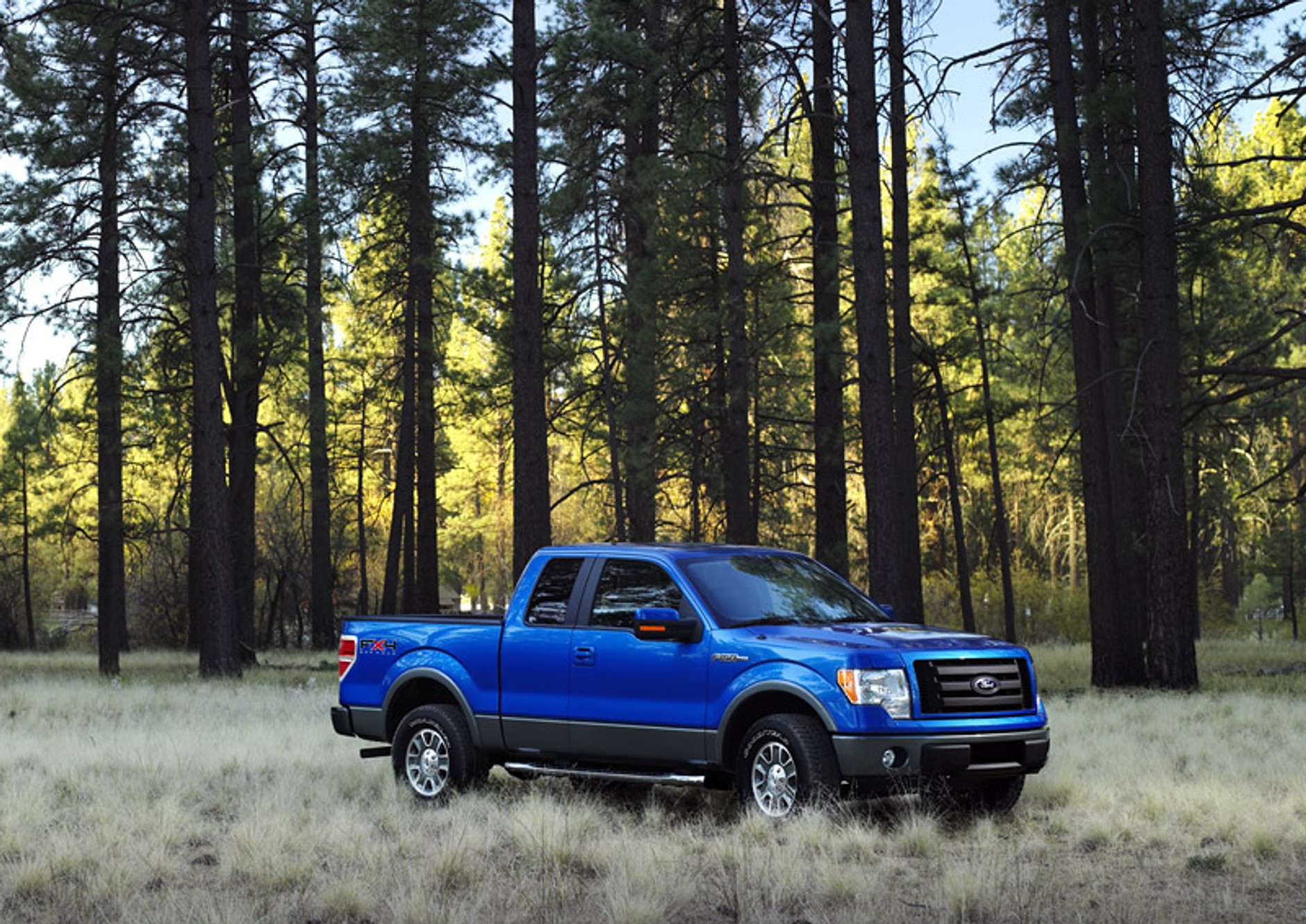 Ford F-150: legendarny pickup z nową twarzą (+ wideo)