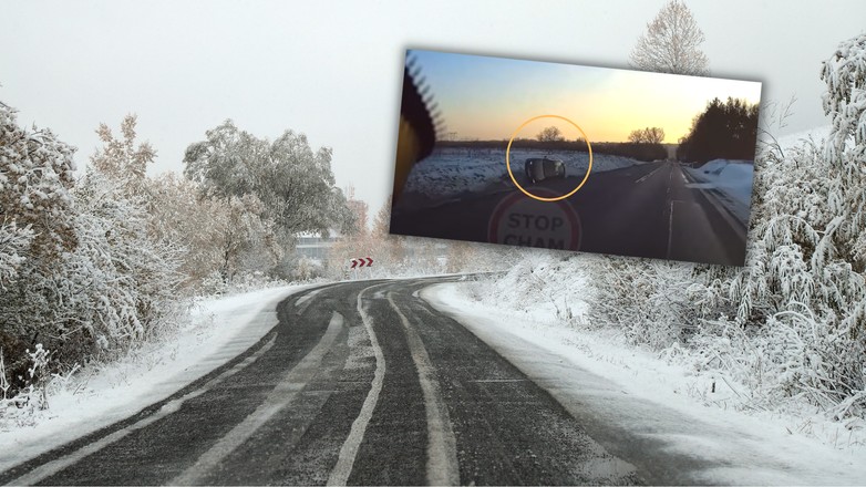 Seal Leon wpadł w poślizg (Screen: YouTube/Stop Cham)