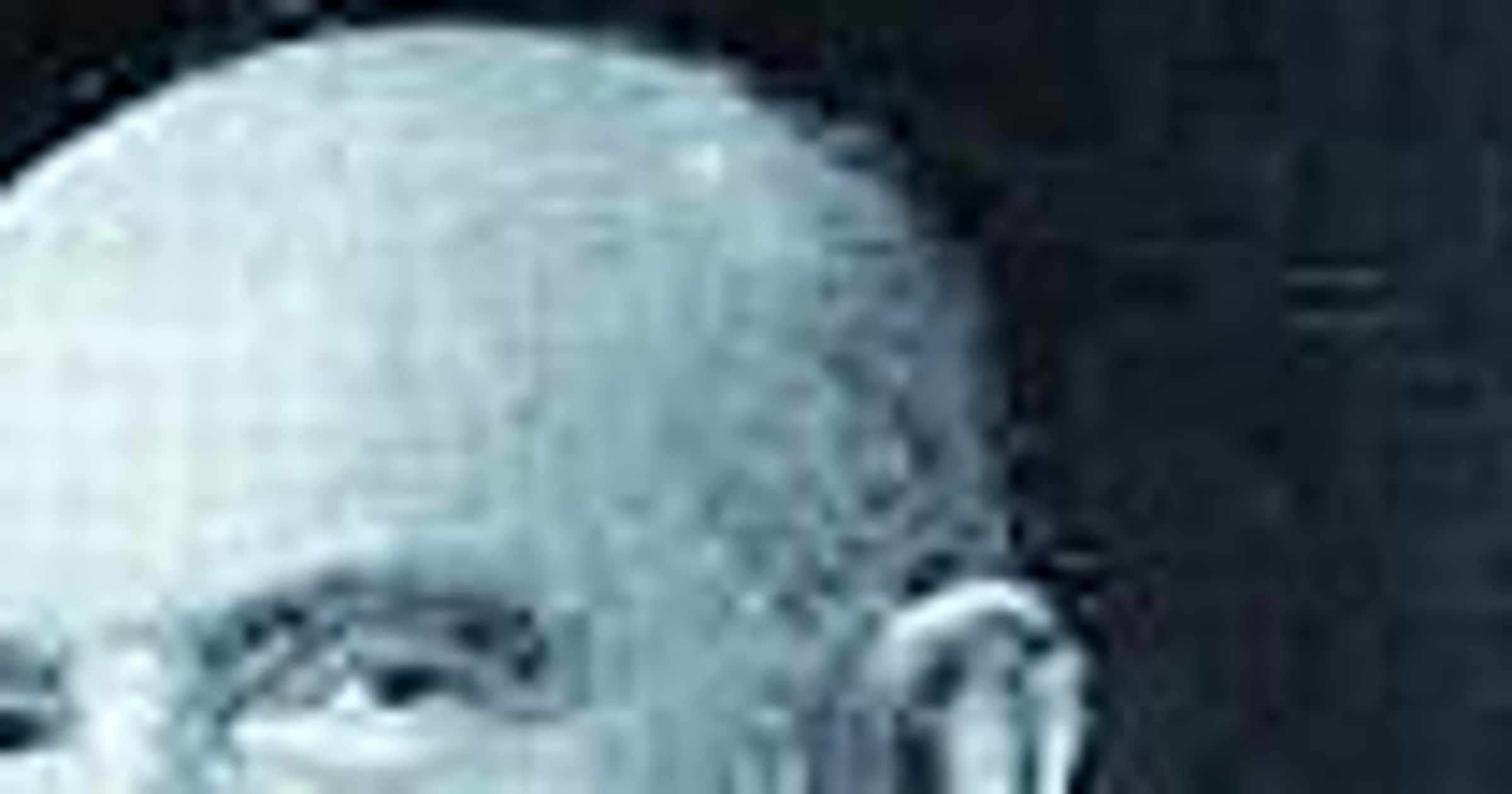 Robert Bosch