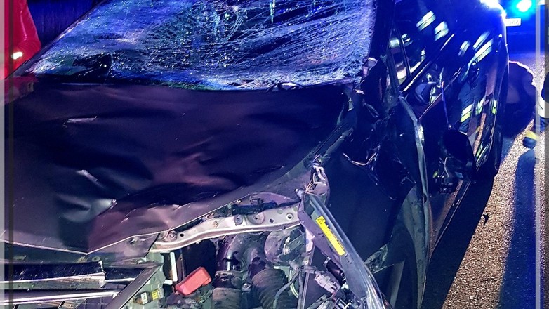 Na DK28 w Iwoniczu jeleń zderzył się z jadącym samochodem